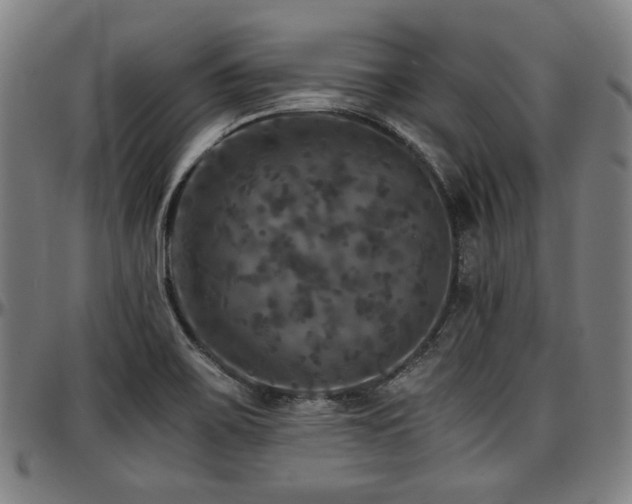 X0000097601467200802291231