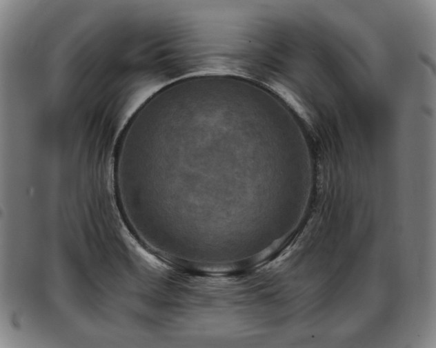 X0000097601468200802291231