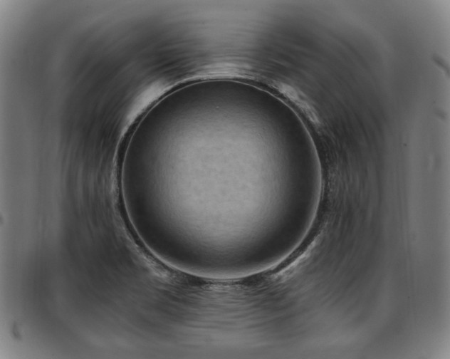 X0000097601469200802291231