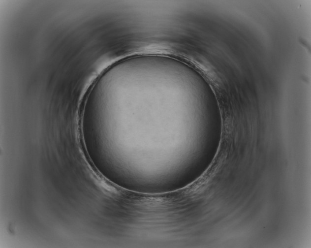 X0000097601470200802291231