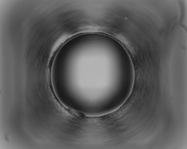 X0000097601472200802291231
