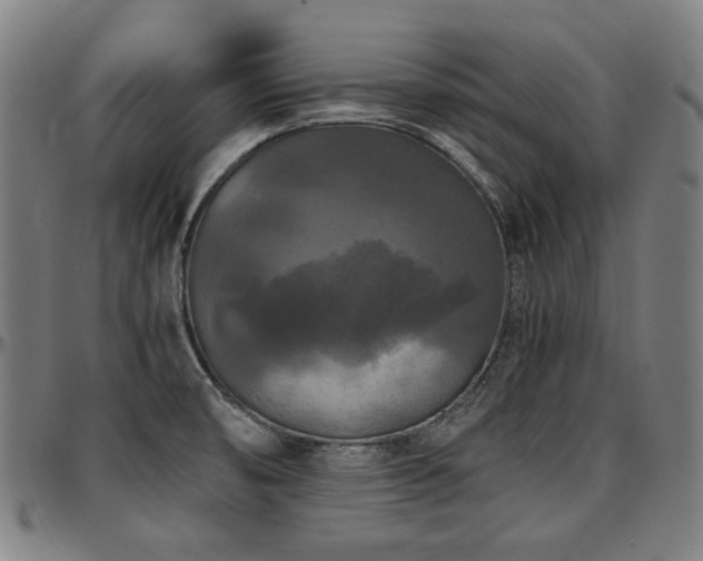 X0000097601474200802291231