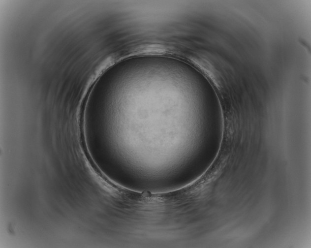 X0000097601475200802291231