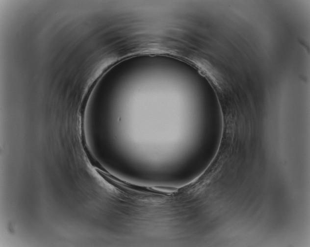 X0000097601476200802291231