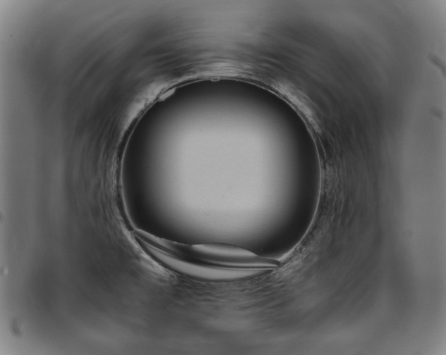 X0000097601477200802291231