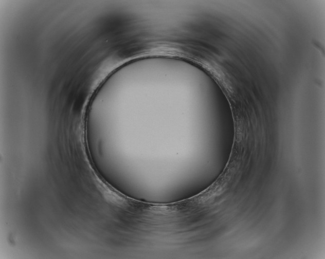 X0000097601478200802291231