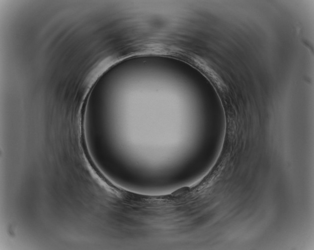 X0000097601479200802291231