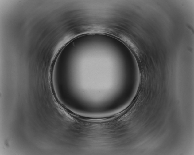 X0000097601480200802291231