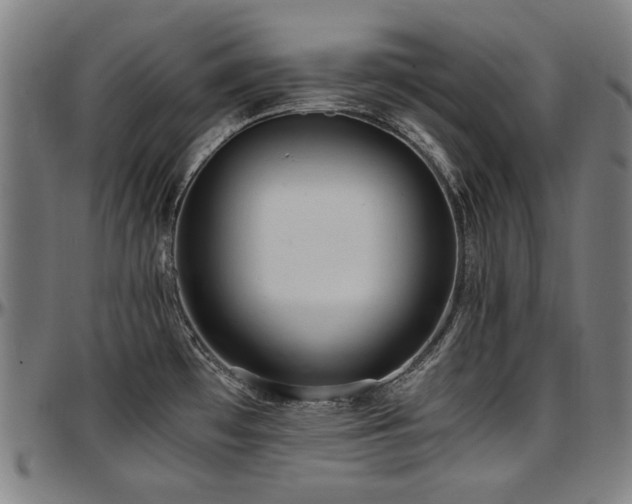 X0000097601481200802291231