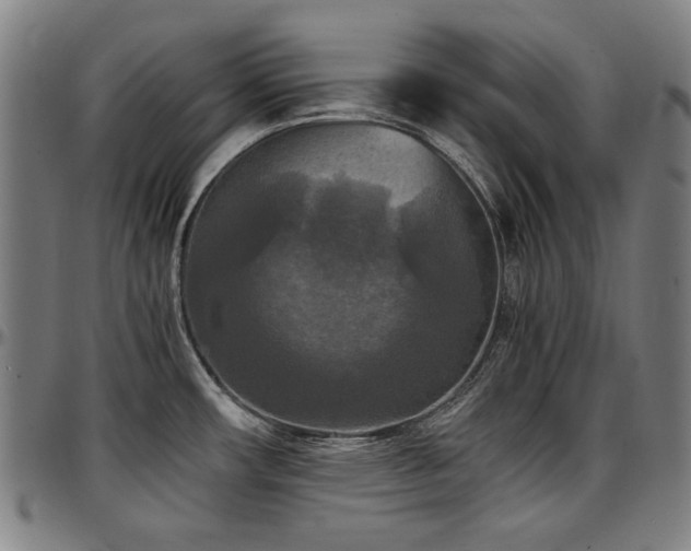 X0000097601482200802291231