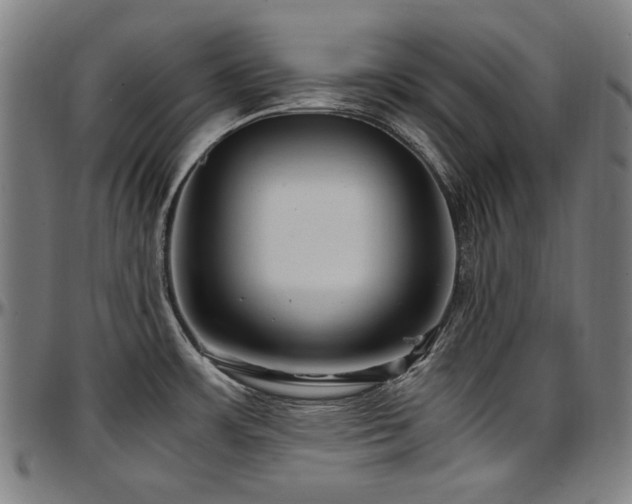X0000097601483200802291231