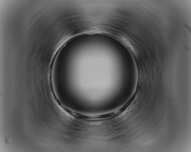 X0000097601484200802291231