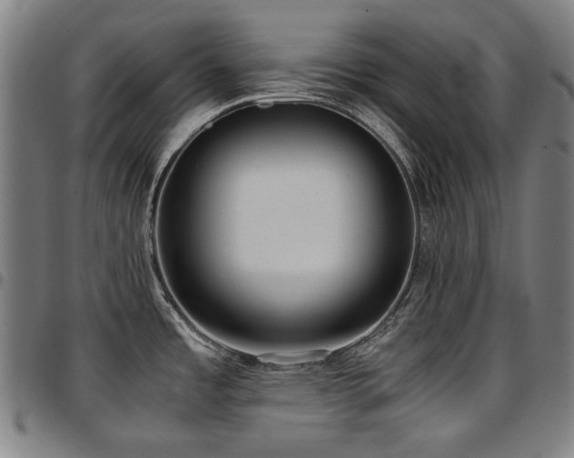 X0000097601485200802291231