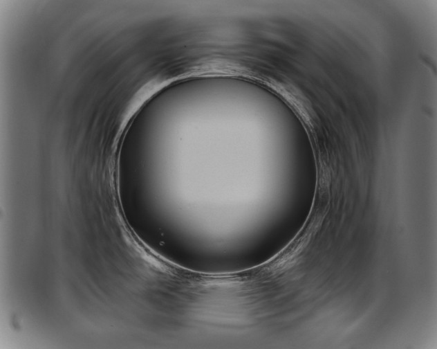 X0000097601486200802291231