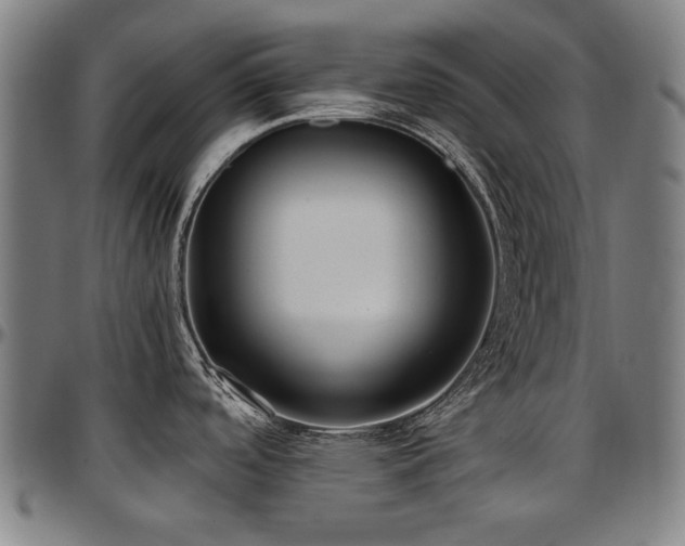 X0000097601488200802291231