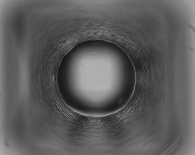 X0000097601489200802291230