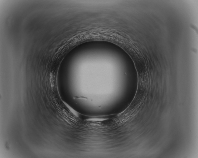 X0000097601490200802291230