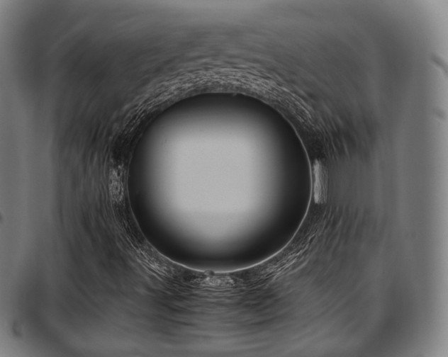 X0000097601491200802291230
