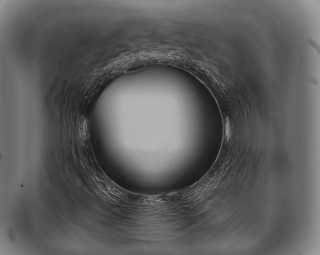 X0000097601492200802291230