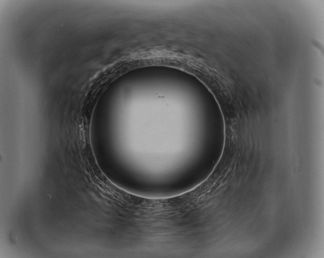 X0000097601493200802291230