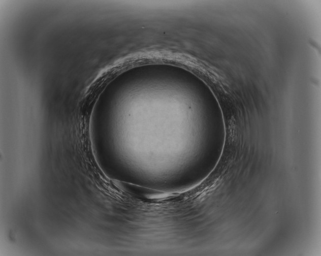 X0000097601494200802291230