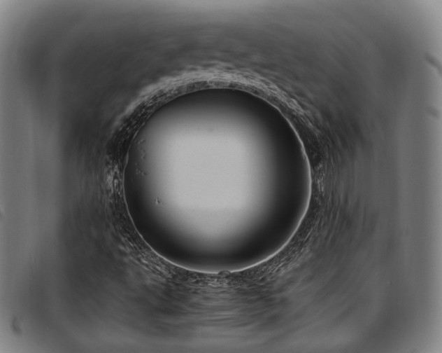 X0000097601495200802291230