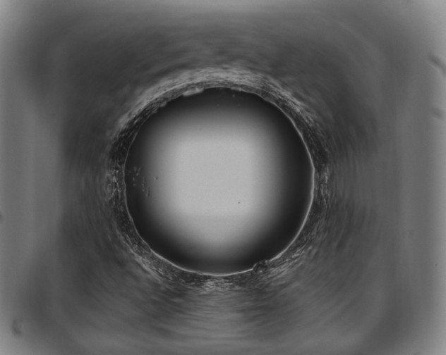X0000097601496200802291230