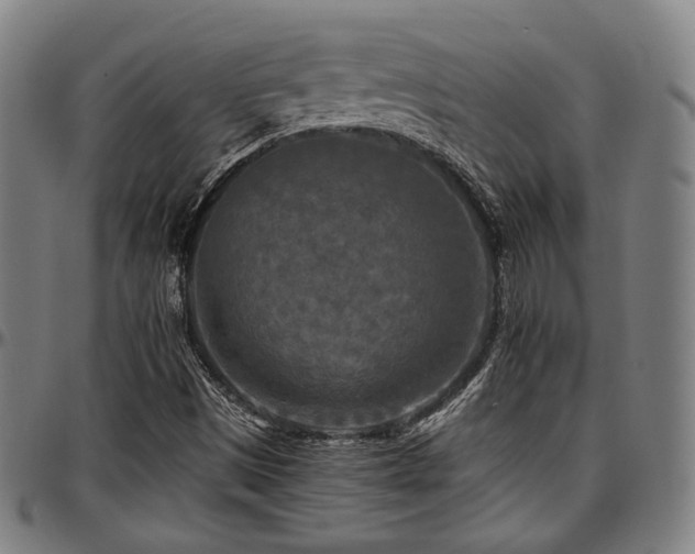 X0000097601497200802291230