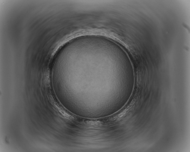 X0000097601498200802291230