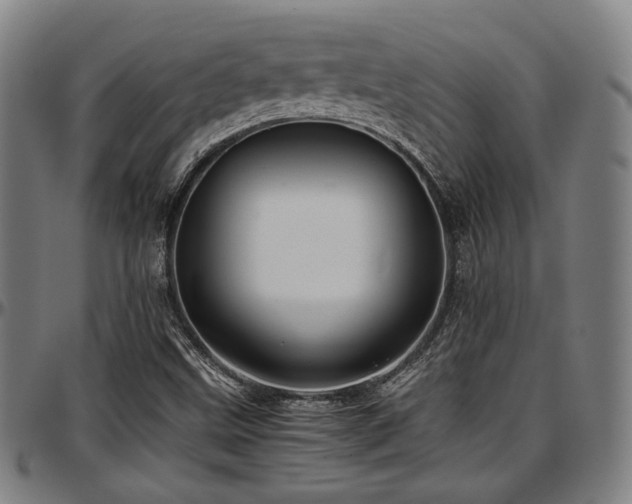 X0000097601499200802291230