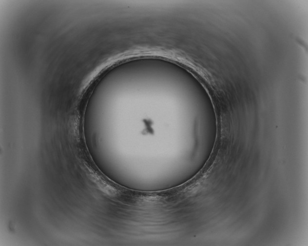 X0000097601502200802291231