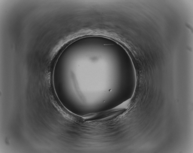 X0000097601503200802291231