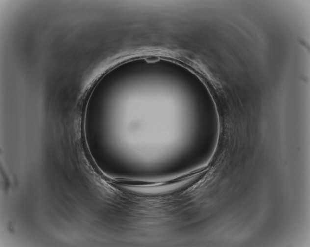 X0000097601504200802291231
