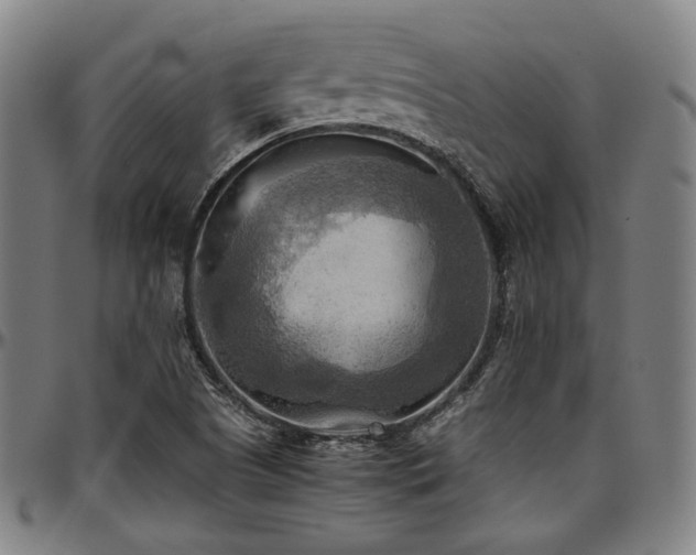X0000097601505200802291231