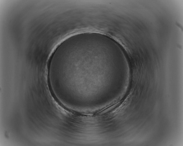 X0000097601508200802291231