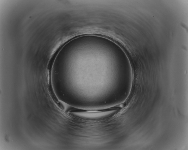 X0000097601509200802291231