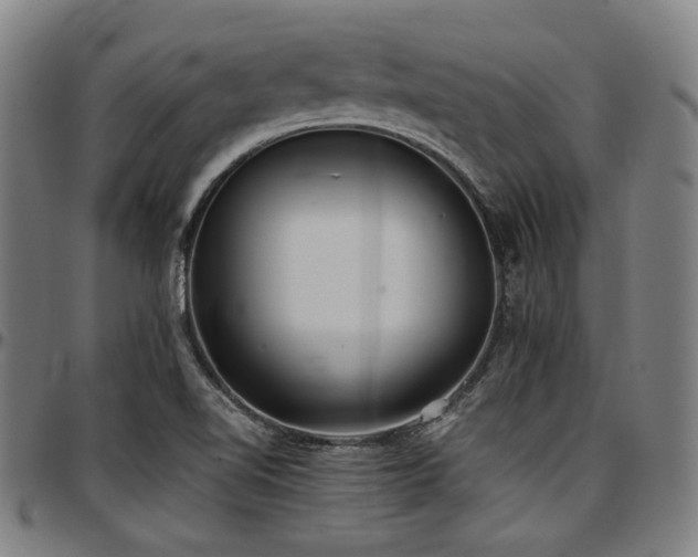 X0000097601510200802291231