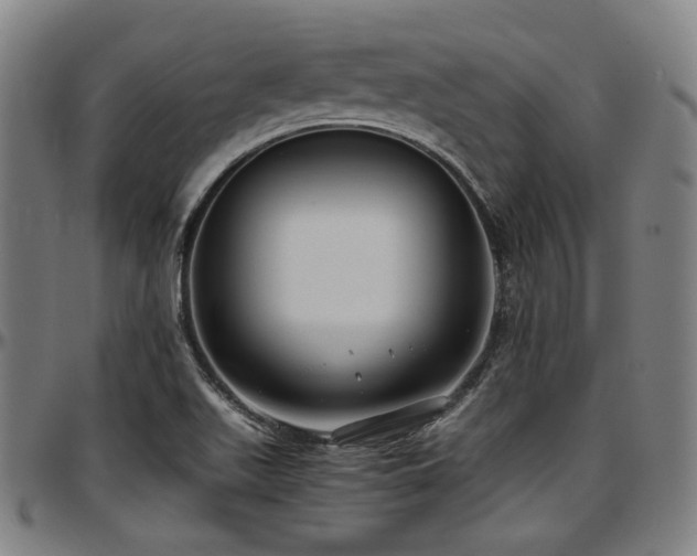 X0000097601511200802291231