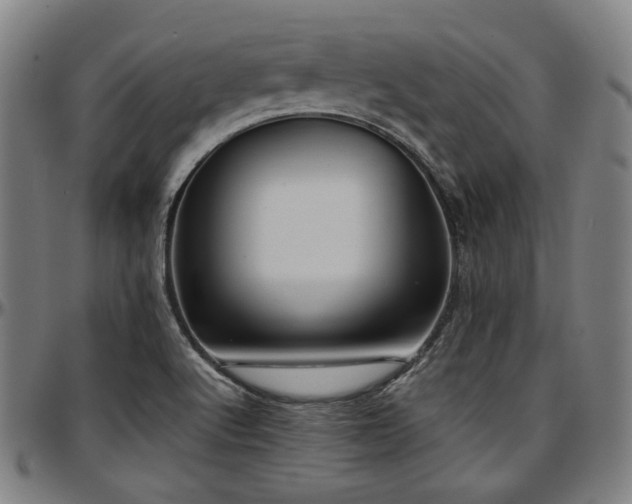 X0000097601512200802291231