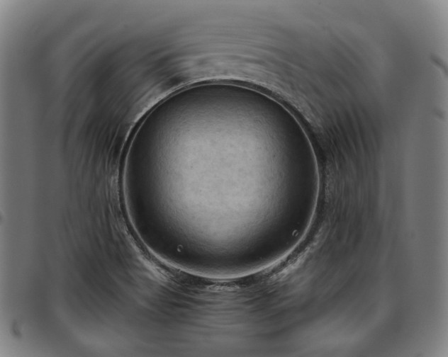 X0000097601513200802291231
