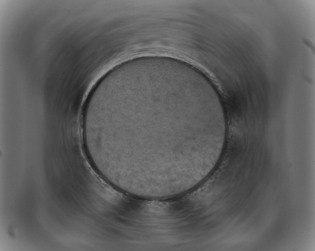 X0000097601514200802291231