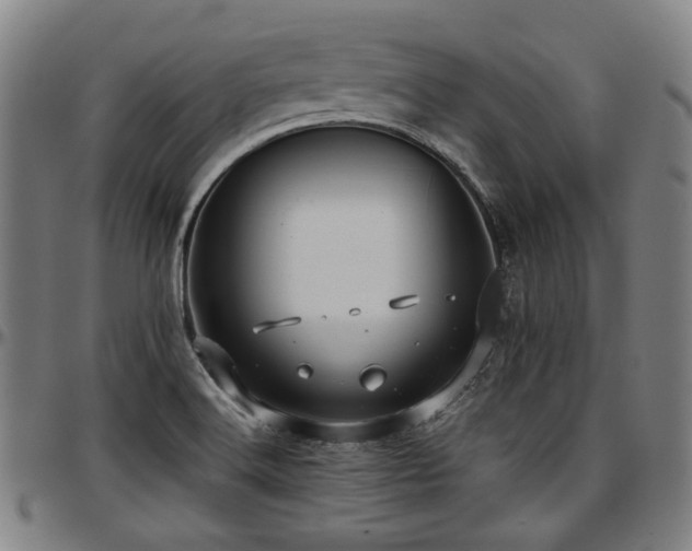 X0000097601516200802291231