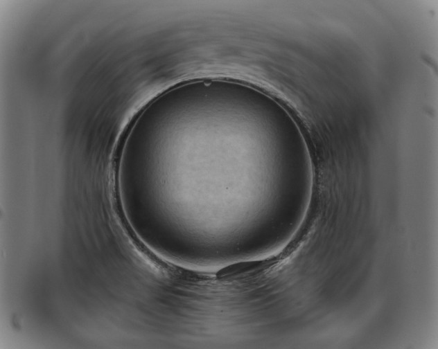 X0000097601517200802291231