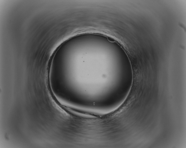 X0000097601518200802291231