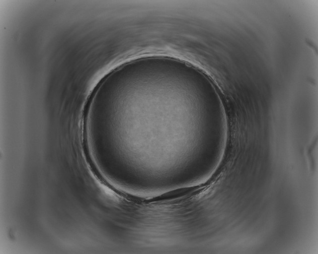 X0000097601519200802291231