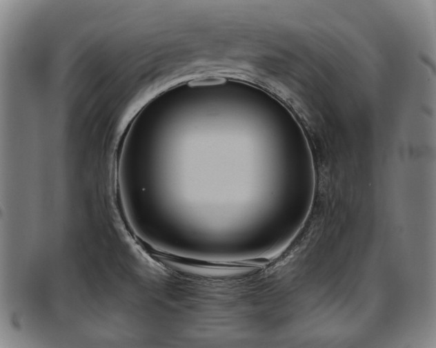 X0000097601520200802291231