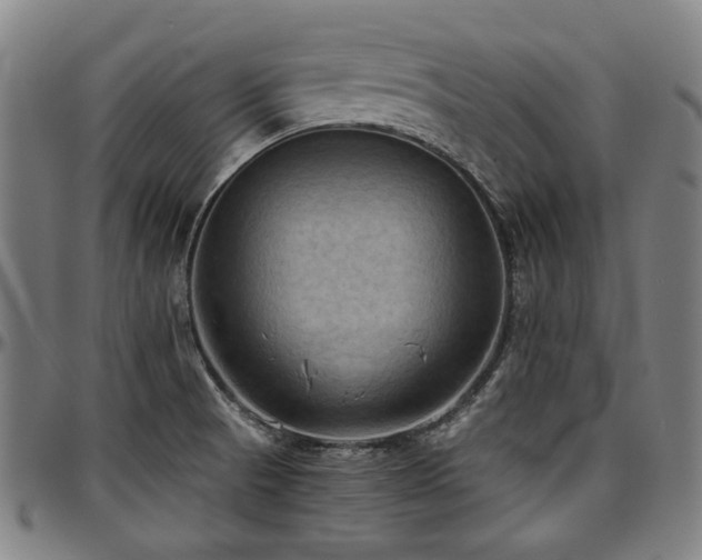 X0000097601521200802291231