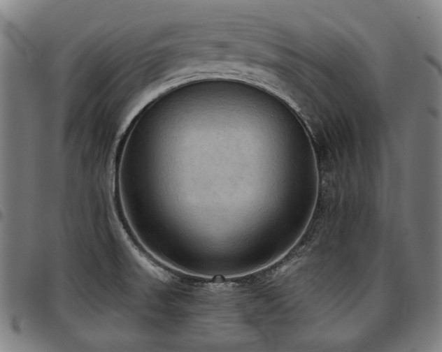 X0000097601523200802291231