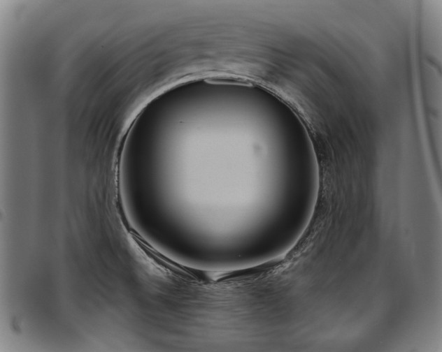 X0000097601524200802291231