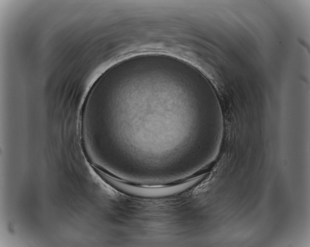 X0000097601527200802291231